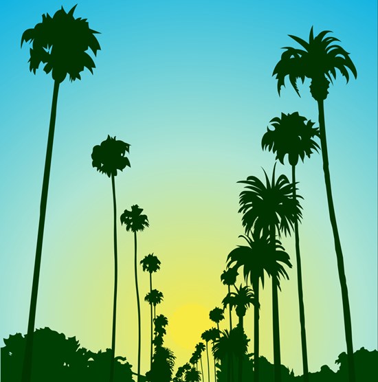 illustratie sunset boulevard baixo illustraties
