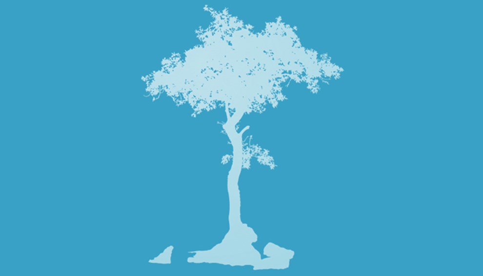 arbor